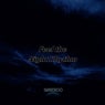 Feel the Night Rhythm