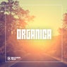 Organica #17