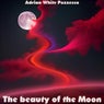The Beauty of the Moon
