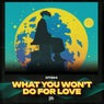 What You Won't Do For Love