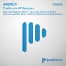 Positronic EP Remixes