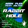Rabbit Hole (feat. Aelyus) [Nanolog Remix]