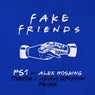 Fake Friends (Tobtok & Adam Griffin Remix) [Extended Mix]