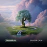 Fragile Calm