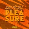 Pleasure (Extended Mix)