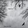 Birds Over NYC