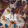 Molécule