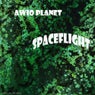 Spaceflight