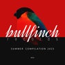 Bullfinch Summer 2025 Compilation