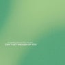 Can't Get Enough Of You (Extended Mix)