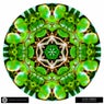 Acid Green