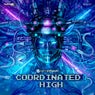 Coordinated High (Original Mix)