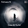 Shadow Of The Cat