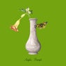 Angel's Trumpet