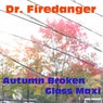 Autumn Broken Glass Maxi