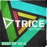 Trice Recordings - Best Of 2013