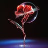 Make Me Feel EP