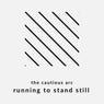 Running To Stand Still