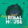 Tribal House Made In Brazil, Vol.2