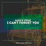 I Can't Forget You