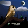 The Common Potoo