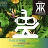 This Is How It's Done (Flute Mix)
