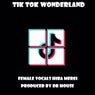 Tik Tok Wonderland