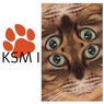 KSM, Vol. 1