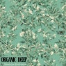 Organic Deep by Ramazan Kahraman