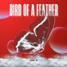 Bird Of A Feather