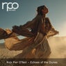 Echoes of the Dunes