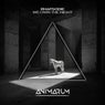 We Own the Night (Extended Mix)