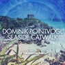 Seaside Catwalk