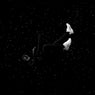 Gravity