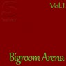 Bigroom Arena, Vol.1