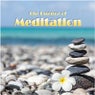 The Essence of Meditation