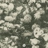 Ghost EP