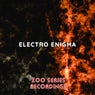 Electro Enigma