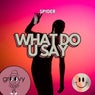 What Do U Say