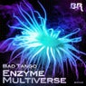 Enzyme / Multiverse 