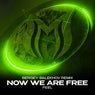 Now We Are Free (Sergey Salekhov Remix)