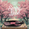 Spring Noise