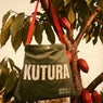 Kutura