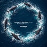 Whales: Framewerk Remixes