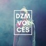 Voices