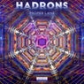 Hadrons