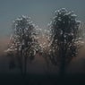 Light Beams (Ivory Remix)