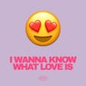 I Want To Know What Love Is