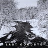 Last Goodbye