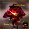 Burning Flower